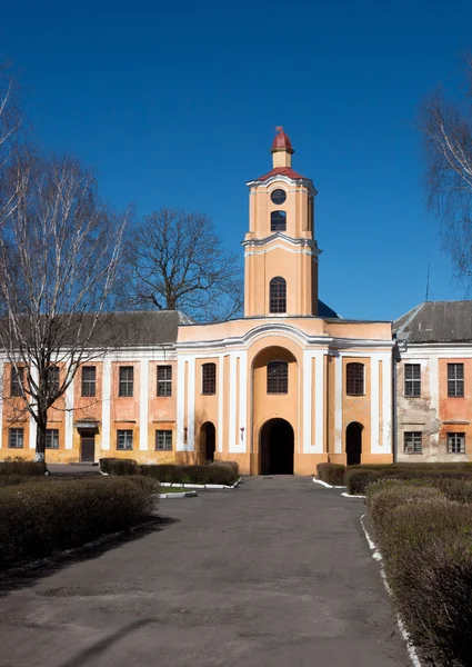 Gates of Radziwill Castle — Stock Photo, Image