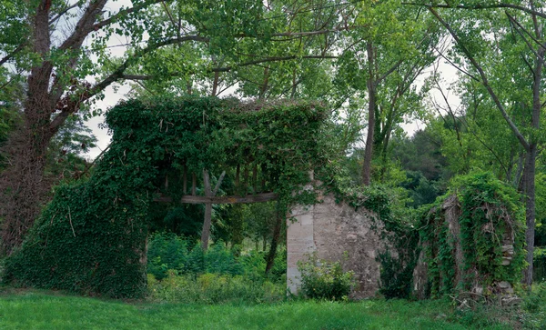 Eski Bahçe kapısı — Stok fotoğraf