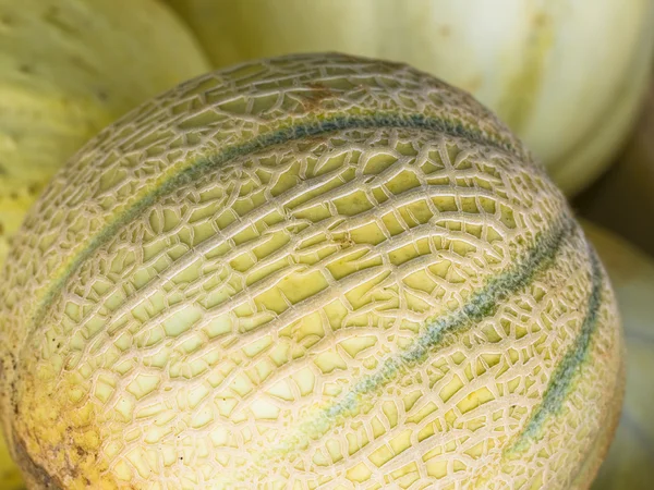 Melon närbild — Stockfoto