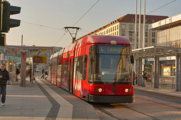 Общественный транспорт Дрездена — стоковое фото
