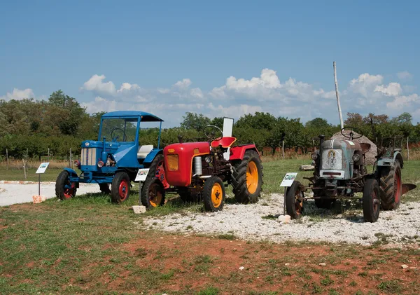 Exposition sur les tracteurs âgés — Photo