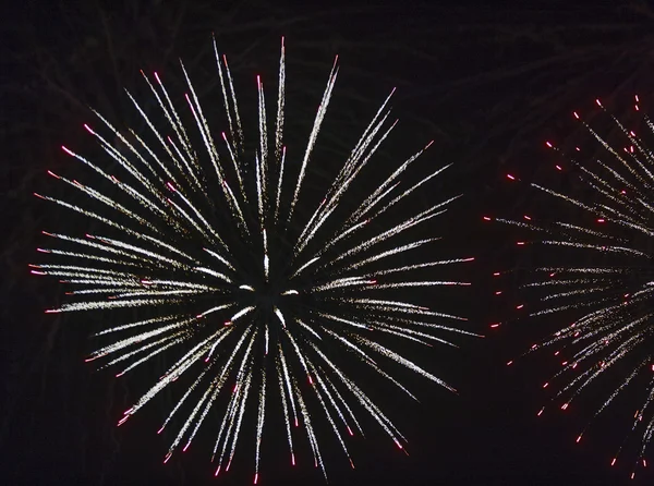 Fogos de artifício contra o céu negro — Fotografia de Stock