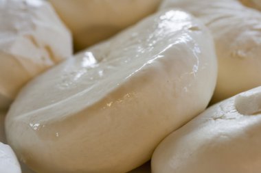 taze mozzarella peyniri