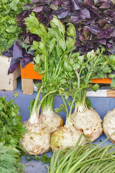 Čerstvý celer a jiné byliny na trhu — Stock fotografie