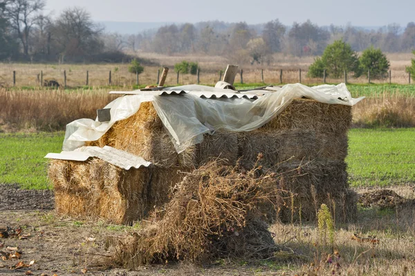 Paisaje rural con fardos de heno — Foto de Stock