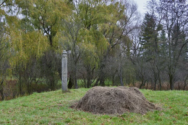 Stone statue in Olesko castle park — Stock Photo, Image