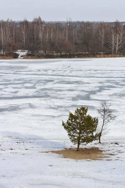 Zimowy pejzaż z rzeką i drzewo — Zdjęcie stockowe