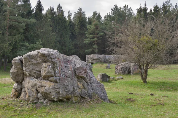 Restos de Adolf Hitler residencia Lobo — Foto de Stock