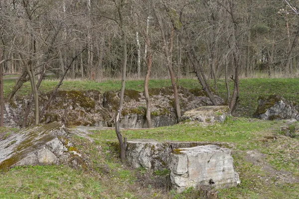Remains of Adolf Hitler residence Werwolf — Stock Photo, Image