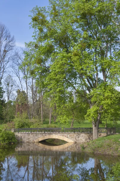 Old spring park with a pond and bridge — Stock Photo, Image