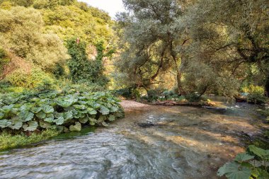 Arnavutluk 'un güneyindeki Vlore County' de Muzine yakınlarındaki Mavi Gözlü su kaynağı. Popüler bir turizm merkezi..
