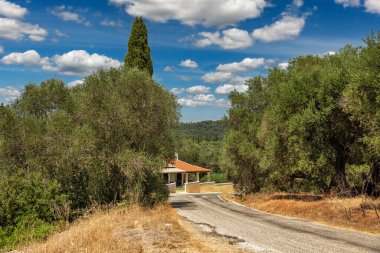 Tipik Korfu adası yaz manzarası zeytin ağaçları, villa ve yol. Yunanistan.