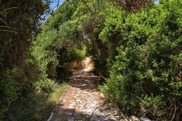 Shady Path Walking Famous Canal Amour Sidari Corfu Island Greece — Stock Photo, Image