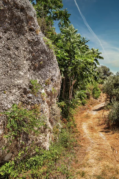 Route Forestière Été Dans Les Montagnes Sur Île Corfou Grèce — Photo