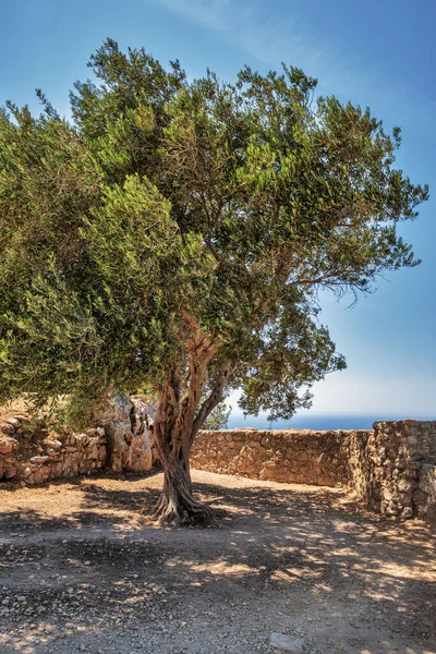 Αρχαία Πέτρινα Ερείπια Φρουρίου Στο Βράχο Αγγελόκαστρο Κέρκυρα Ελλάδα — Φωτογραφία Αρχείου