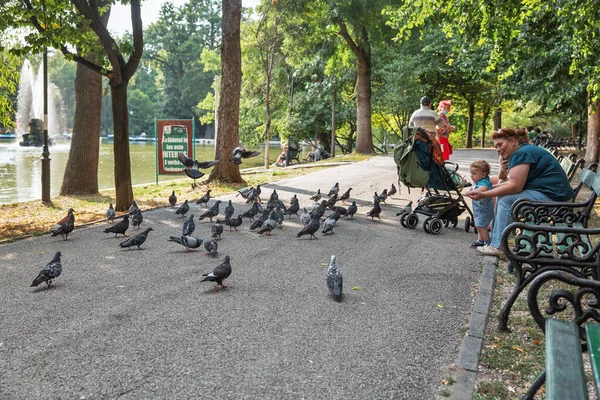 Bükreş, Romanya - 12 Ağustos 2021: Bükreş şehir merkezindeki Cismigiu Gardens parkında halk güvercinleri besliyor. Yapay gölün her tarafına yayılmış halka açık bir park..