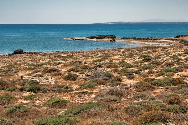 Summer Rocky Coastline Seascape Ayia Napa Cyprus — Stock Photo, Image