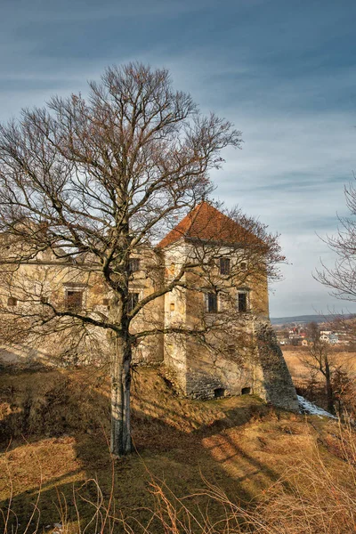 Kastil Svirzh Ukraina Ini Adalah Kediaman Aristokrat Berbenteng Wilayah Lviv — Stok Foto