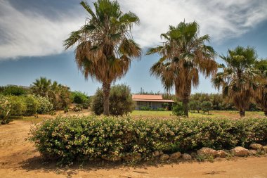 Kıbrıs adasındaki Protaras tatil beldesinde geleneksel konut.