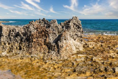 Yaz kayalık kıyı şeridi. Ayia Napa, Kıbrıs.