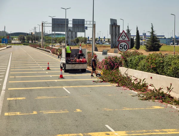 Larnaca Cyprus May 2021 Bush Pruning Road Works Highway Larnaca — Stock Photo, Image