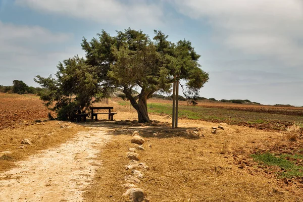 Kıbrıs Rum Kesimi Nin Ayia Napa Kentindeki Ünlü Eski Aşıklar — Stok fotoğraf
