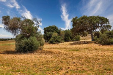 Kıbrıs Rum Kesimi Ayia Napa yakınlarındaki kırsal alan. Ulusal parkı, kaya yolları, turkuaz bir gölü ve doğal bir taş köprüsü olan dağlık bir yarımadadır..