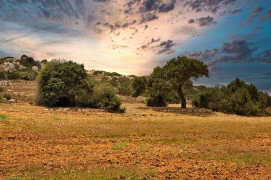 Kıbrıs Rum Kesimi 'nin Ayia Napa kenti yakınlarında çarpıcı bir gökyüzüne sahip kırsal alan. Ulusal parkı, kaya yolları, turkuaz bir gölü ve doğal bir taş köprüsü olan dağlık bir yarımadadır..