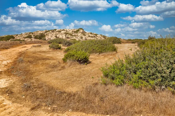 Paisagem Rural Perto Ayia Napa Chipre Península Montanhosa Com Parque — Fotografia de Stock