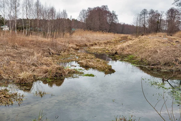 Early Spring Landscape Ikva River Western Ukraine — Zdjęcie stockowe