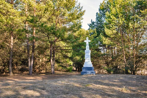 Landscape Religious Cross Lake Virlya Forest Velyki Berezhtsi Kremenets Ternopil — Zdjęcie stockowe