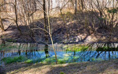 Aziz Niklas Manastırı 'nda Aziz Anna' nın mucizevi pınarı. Onyshkivtsi, Ukrayna.