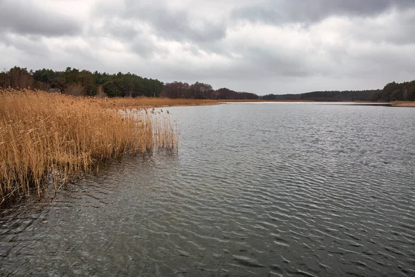 Landscape Virlya Lake Forest Velyki Berezhtsi Kremenets Ternopil Region Ukraine — Zdjęcie stockowe