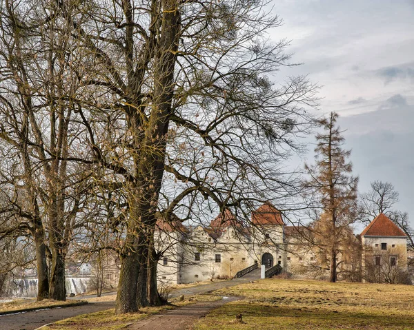 Svirzh城堡 乌克兰 它是利沃夫地区一个坚固的贵族住宅 它最初是由Swirski贵族家族在15世纪建造的 — 图库照片