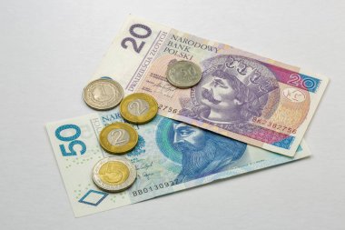 Polonya 'nın 2050 zloti banknotları ve paraları beyazlara karşı yakın plan