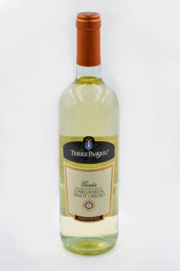 Kyiv, Ukraine - November 21, 2021: Italian Terre Passeri Garda Garganega Pinot Grigio white dry wine bottle closeup on white.