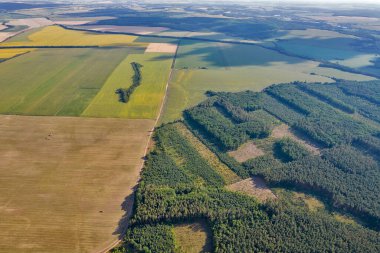 Yaz günbatımı boyunca insansız hava aracı görüntüsü, tarım arazileri, Ukrayna.