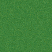 Krásná zelená tráva textura