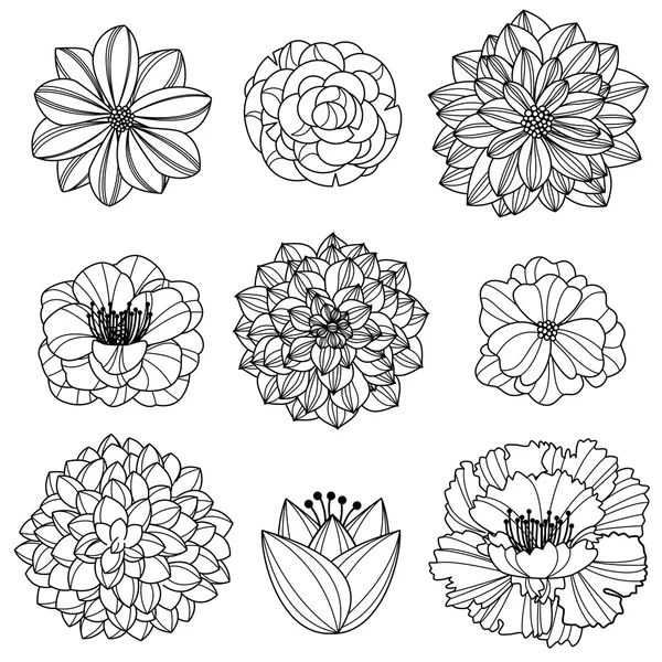 Vector Collection of Hand Drawn Flowers — Stock Vector