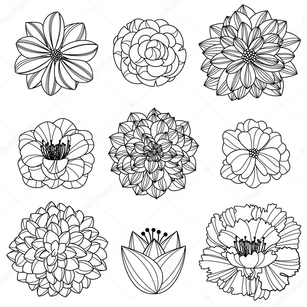 Vector Collection of Hand Drawn Flowers