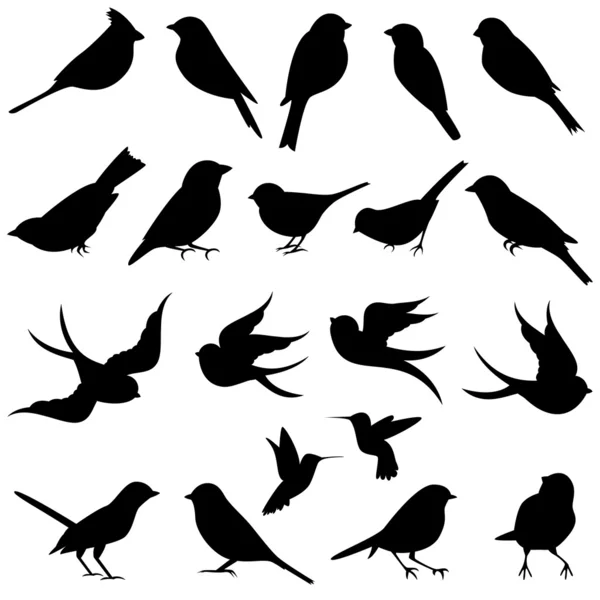 Colección vectorial de siluetas de aves — Vector de stock