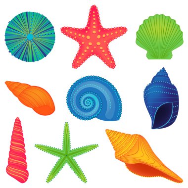 Vector Collection of Shells clipart