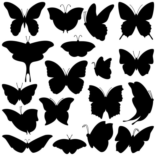 Vector Collection of Butterfly Silhouettes — Stock Vector