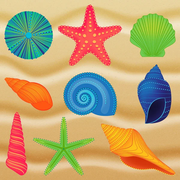 Vector Collection of Shells — Stock Vector