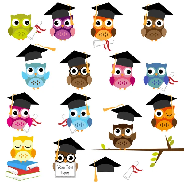 Conjunto vectorial de escuela linda y búhos temáticos de graduación — Vector de stock