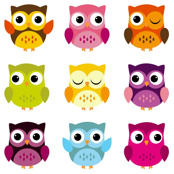 Cute Vector Collection of Bright Owls — Stock Vector