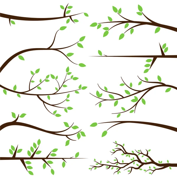 Vector Collection of Tree Branch Silhouettes — Stock Vector