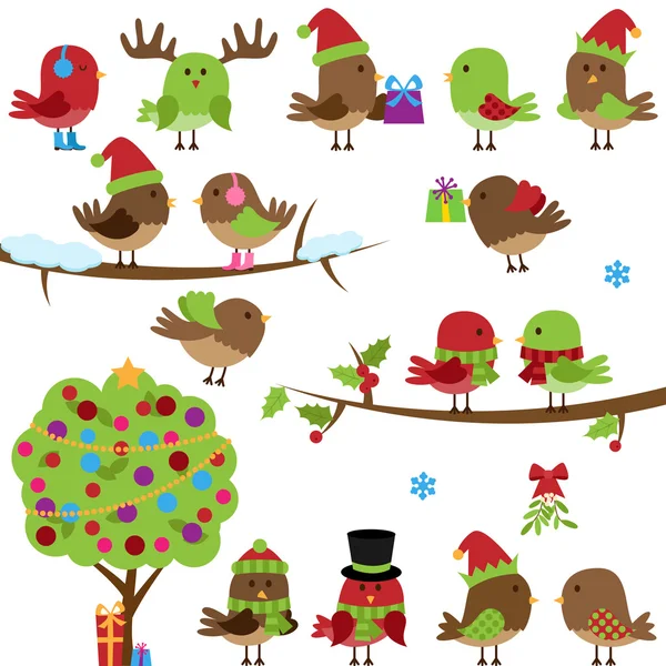 Vector Collection of Christmas and Winter Birds — Stock Vector