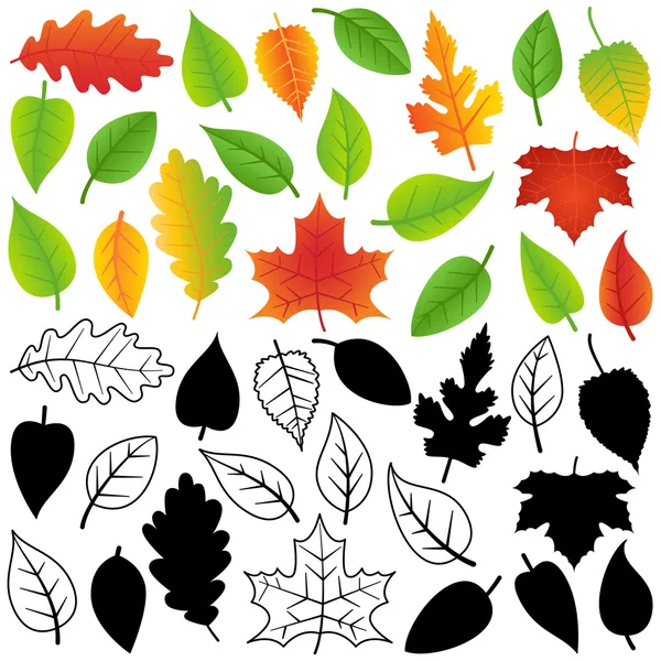 Coleção vetorial de folhas verdes, outono, silhuetas e contorno — Vetor de Stock