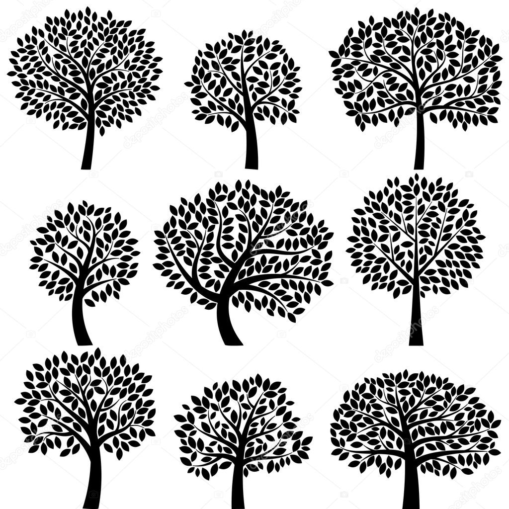 Vector Collection of Tree Silhouettes